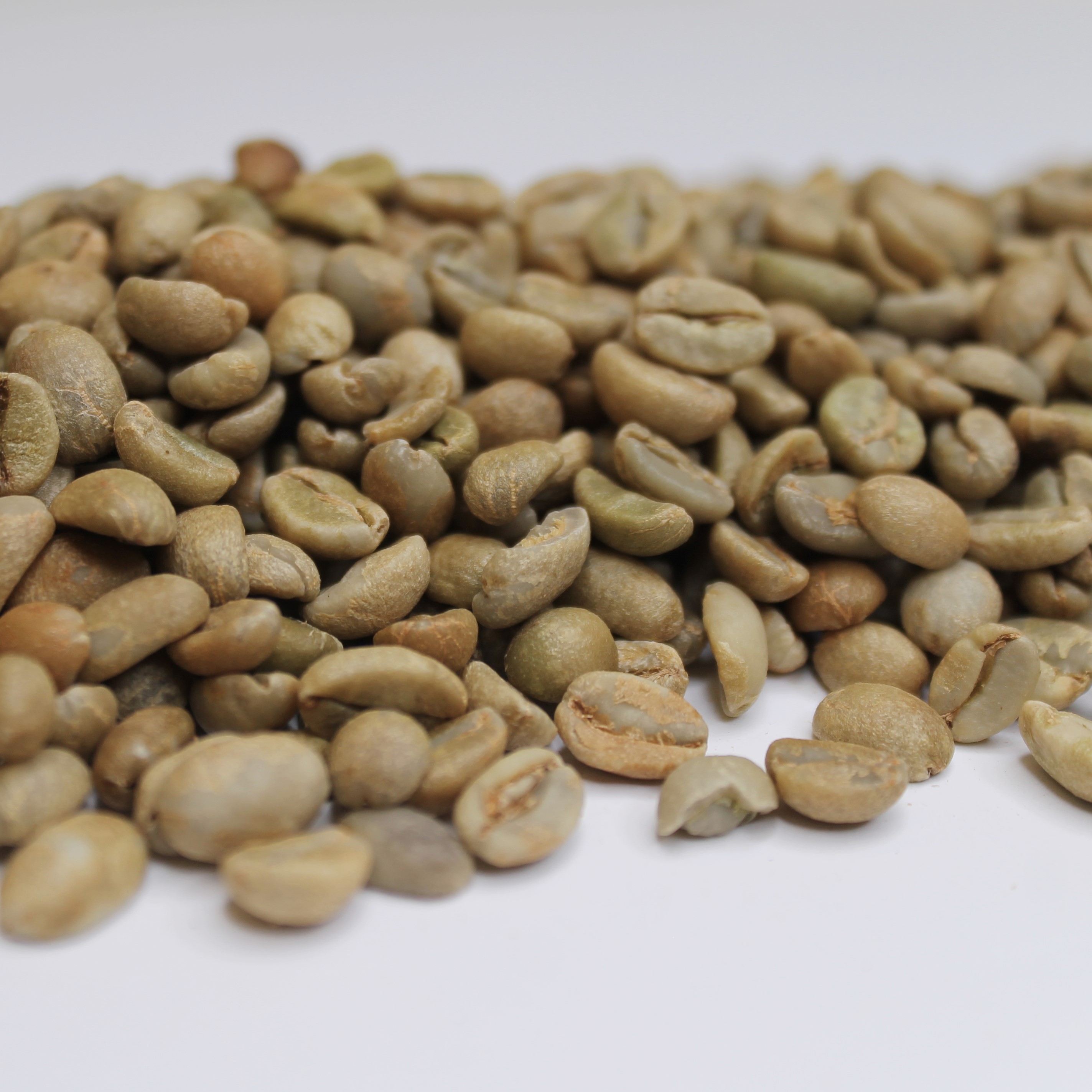 Yemeni Green Coffee Beans Rancher by Coffee Bean Corral
